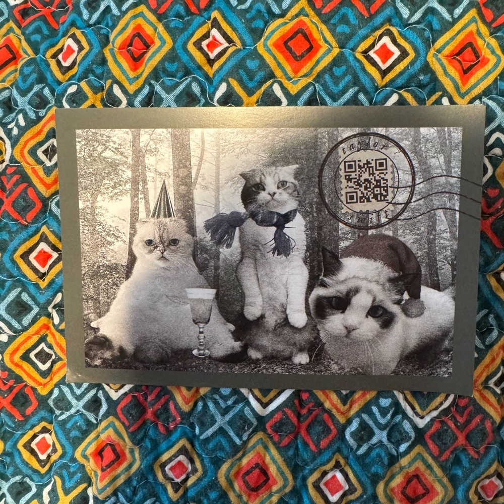 Taylor Swift Cat Christmas Postcard
